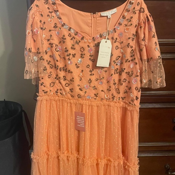 Ivy City Co Dresses & Skirts - NWT Ivy City Co Milan Dress in Sorbet 1X